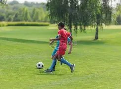 多特蒙德逆,转取胜,四球逆转演,双赢彩票,彩票平台,双重保障,安全购彩,在线投注